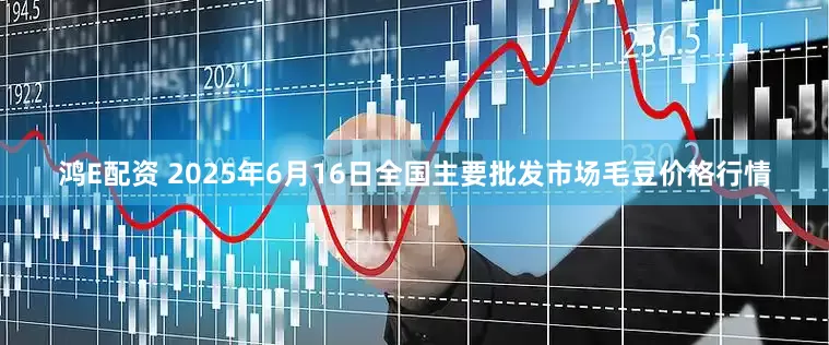 鸿E配资 2025年6月16日全国主要批发市场毛豆价格行情