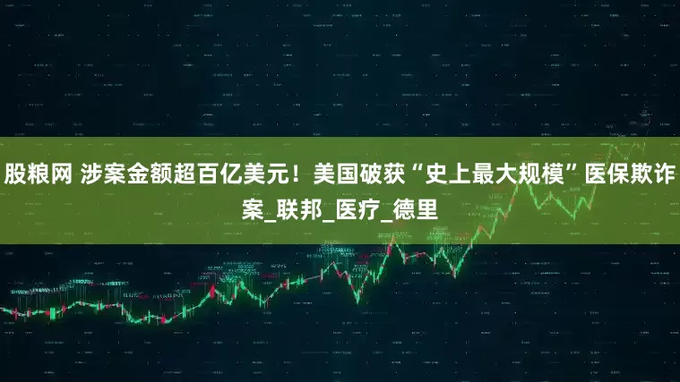 股粮网 涉案金额超百亿美元！美国破获“史上最大规模”医保欺诈案_联邦_医疗_德里