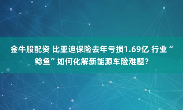 金牛股配资 比亚迪保险去年亏损1.69亿 行业“鲶鱼”如何化解新能源车险难题？
