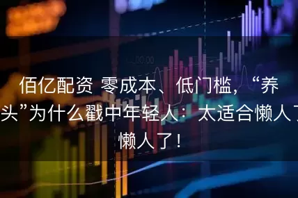佰亿配资 零成本、低门槛,“养砖头”为什么戳中年轻人:太适合懒人了!